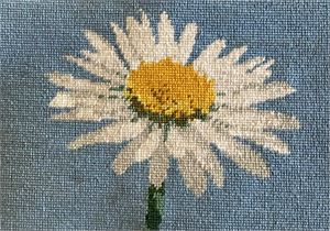 Photograph of product.